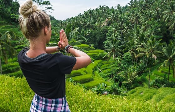 Bali Full Day Tour: Highlights of Ubud and Hidden Waterfall