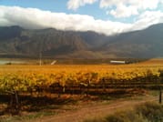Cape Town Based Private Full Day Tour to the Stellenbosch Wine Region 6