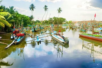 Muthurajawela Sanctuary Boat Safari with Bird Watching