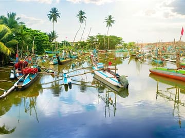 Birdwatching Boat Safari in Muthurajawela Sanctuary, Negombo
