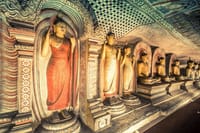 Highlights of Sri Lanka 5