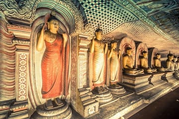 Highlights of Sri Lanka
