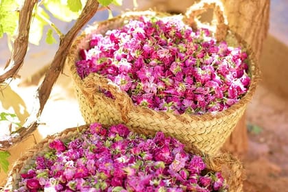 Private Sahara Discovery Tour from Marrakech to Fez in 4WD