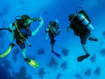 The best local diving adventure