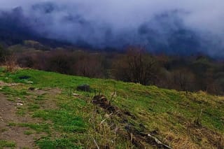 Discover Kakheti: Telavi, Sighnaghi, Lagodekhi, Akhtala & More