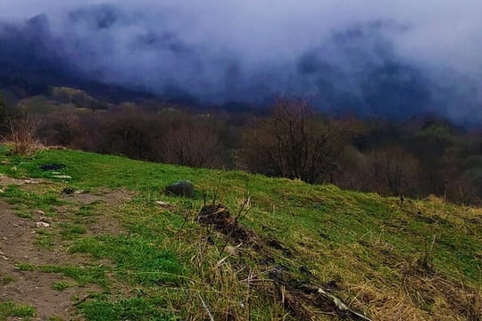 Tour to Entire Kakheti from Tbilisi (Telavi,Akhtala Resort, Lagodekhi,Sighnaghi)