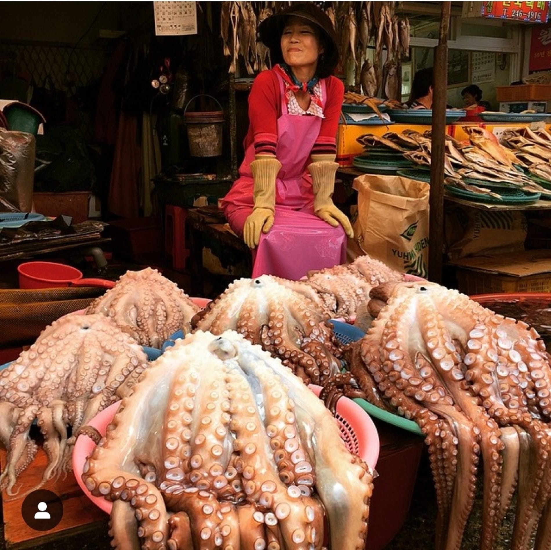 A vendor in a pink apron sells fresh octopus at Jagalchi Fish Market, Busan's largest seafood market.