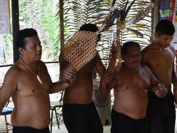Tucandeira Ants Ritual Tour in Manaus, Brazil