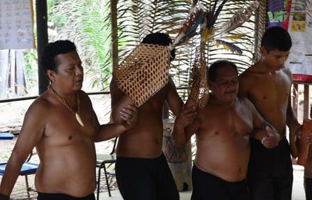 Tucandeira Ants Ritual Tour in Manaus, Brazil