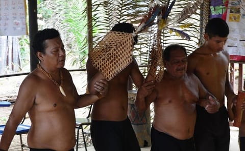 Tucandeira Ants Ritual Tour in Manaus, Brazil