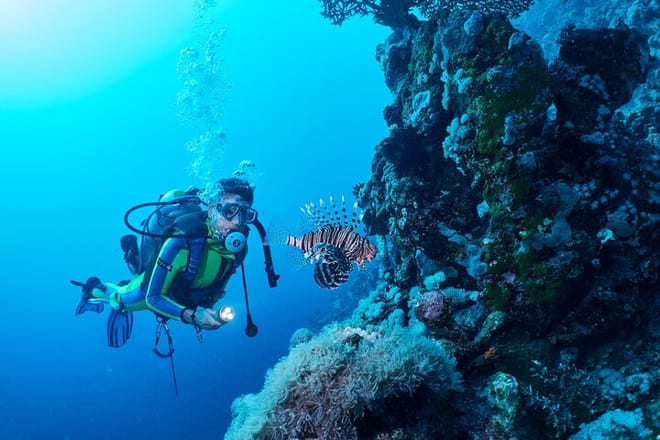PADI Open Water Course Advanced Diving in Hurghada - Hurghada