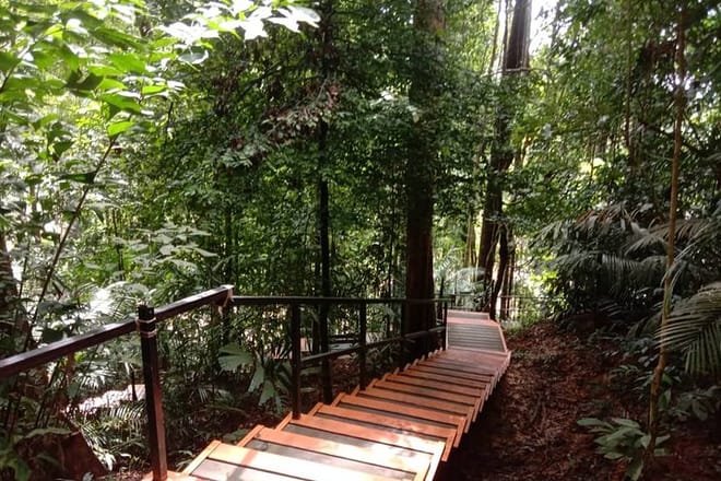 Taman Negara National Park Trekking Day Tour (SIC - Join In Tour) 4