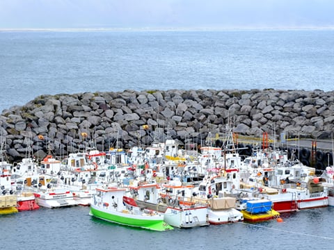 Snæfellsnes en español con almuerzo incluido en una granja en minibus, photo 13