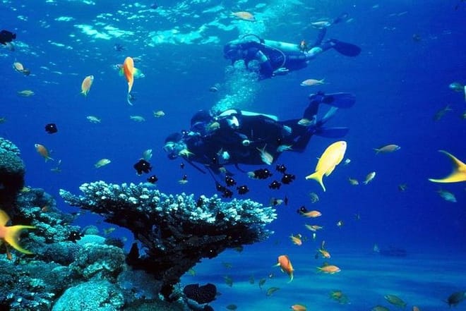 Scuba Diving Trip Hurghada