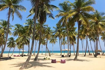 3 Day Pasikudha Tour from Polonnaruwa