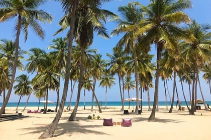 3 Day Pasikudha Tour from Polonnaruwa