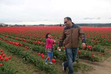 Tulip Festival at Skagit Valley ,La Conner and Deception Pass
