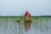 "CRYSTAL WATERS" Premium canoeing tour in Zemaitija National Park 3