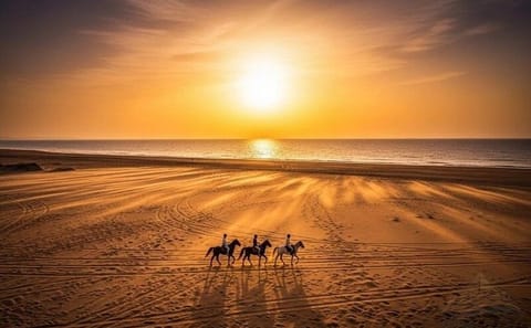 Hurghada Horse Riding and Camel Tour with Swimming
