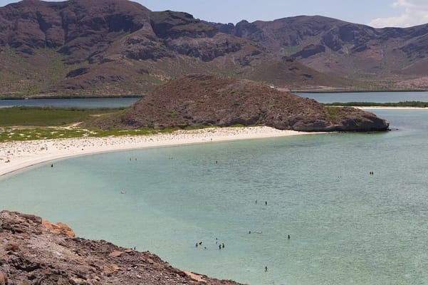 La Paz City Tour from Cabo
