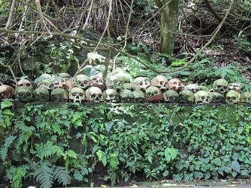 Explore Balinese Mysticism and Death Rituals in Kintamani