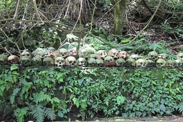 Explore Balinese Mysticism and Death Rituals in Kintamani