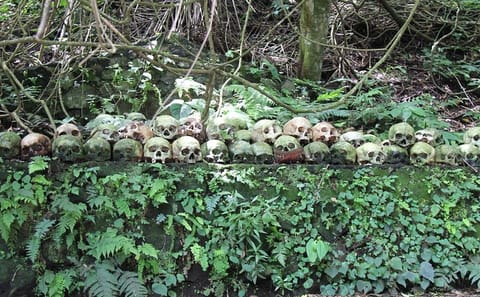 Explore Balinese Mysticism and Death Rituals in Kintamani
