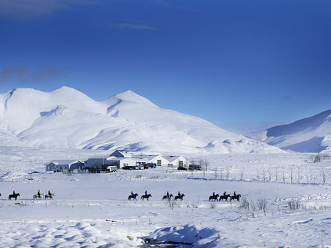 Silfra Snorkeling - with underwater photos & Horseback riding, photo 17
