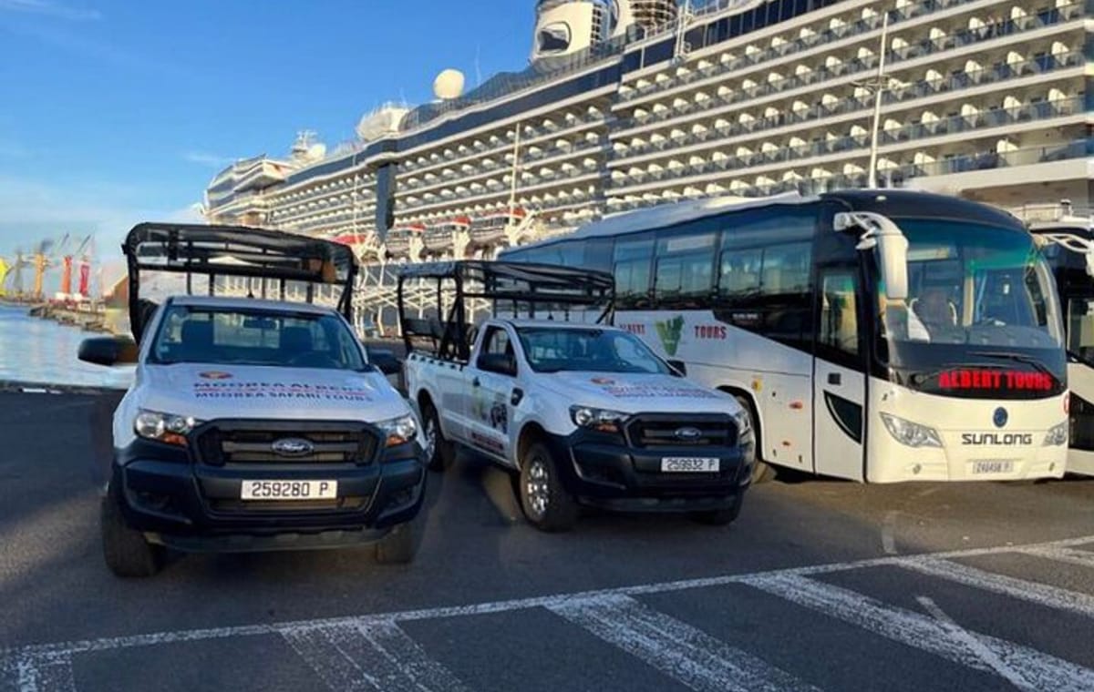 Moorea Cruise Ships: 4×4, Belvedere,Magic Mountain pineaple