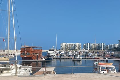 Snorkeling at Dimaniyat Islands