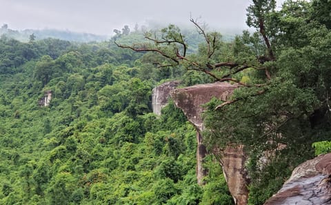 Angkor Temples 6-Day Cultural Tour in Siem Reap, Cambodia