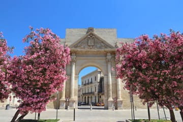 Lecce Cultural Tour with Cooking Class and Vineyard Visit