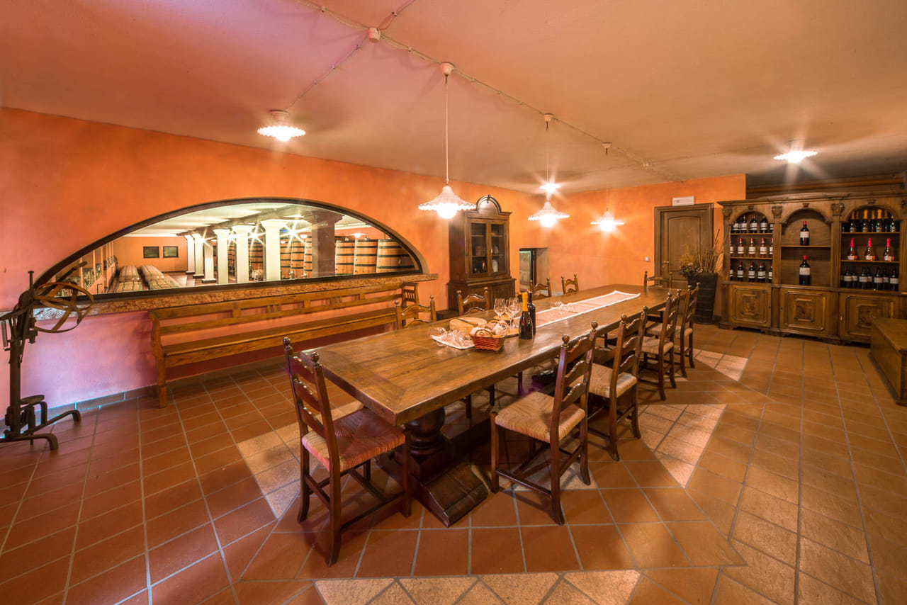 Wine Tour and Tasting on Garda Hills 8