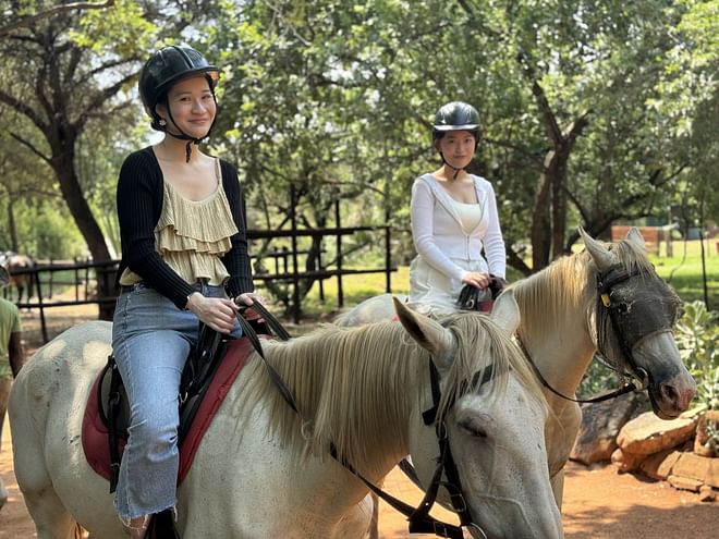 Horseback Safari from Johannesburg