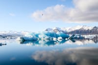 Jökulsárlón Glagier Lagoon