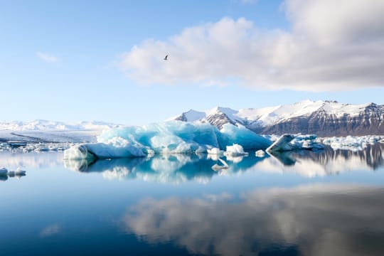Glacier Lagoon Tour