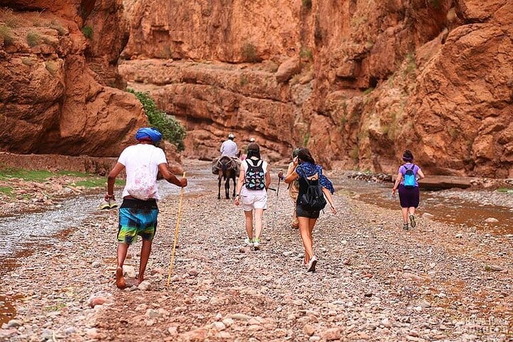Private Desert Tour from Fes to Marrakech 3 days