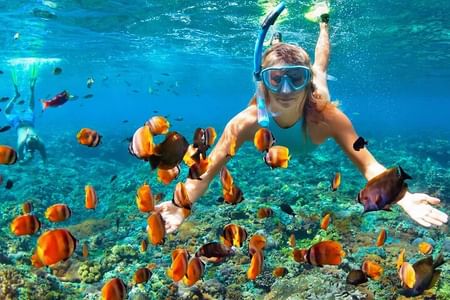Orange Bay Private Snorkeling Cruise with Lunch