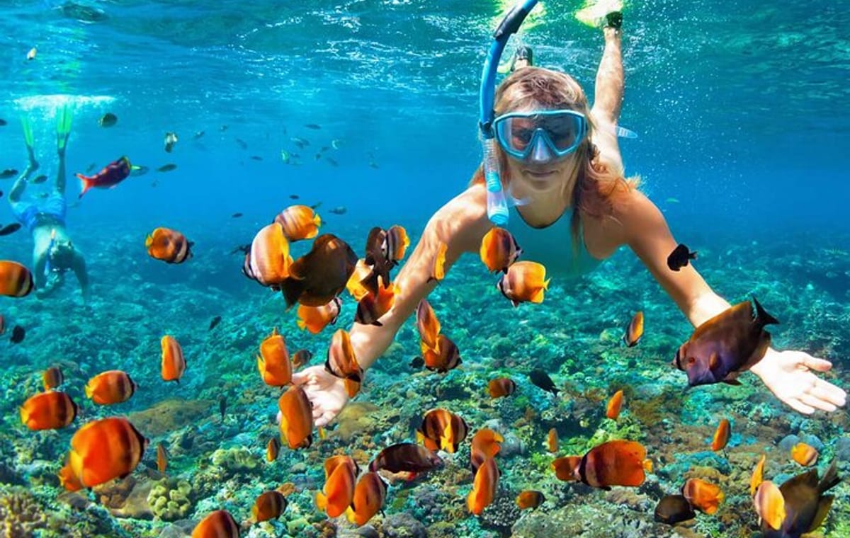 Orange Bay Private Snorkeling Cruise with Lunch