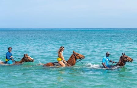 ATV and Horse Back Riding Adventure with Pick Up from Montego Bay