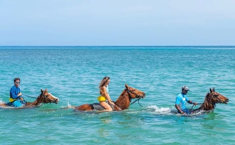 ATV and Horseback Riding Adventure in Montego Bay, Jamaica