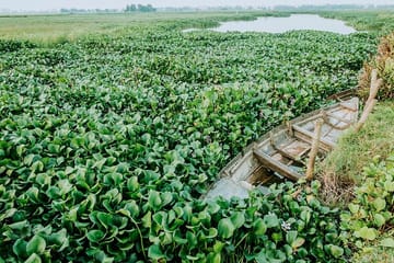 Hoi An Sunrise or Sunset Photography Tour