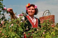 Locals during the gathering of the roses