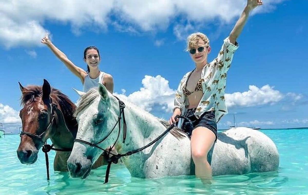 Swimming with Horses Experience on the Beach in Zanzibar