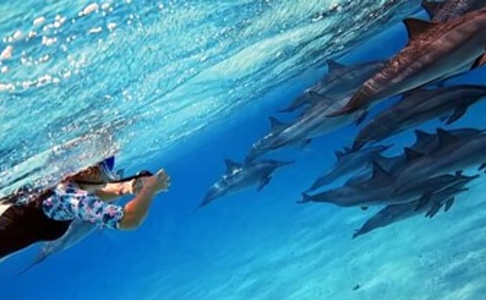 Snorkeling Day Trip at Sataya Reef in Egypt