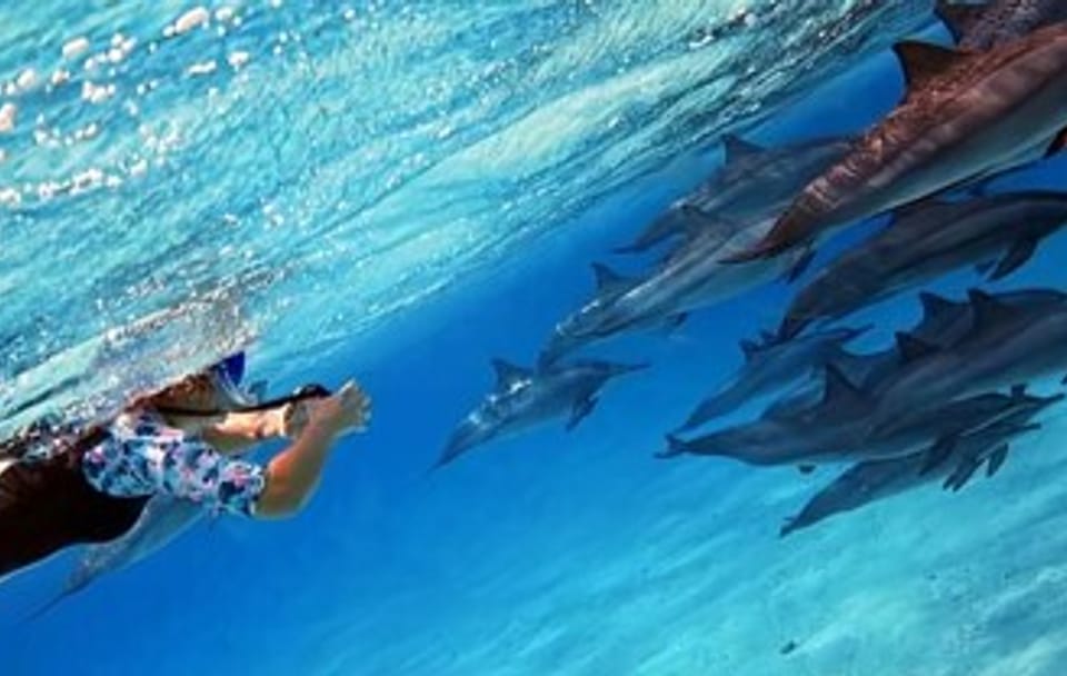 Snorkeling Day Trip at Sataya Reef in Egypt