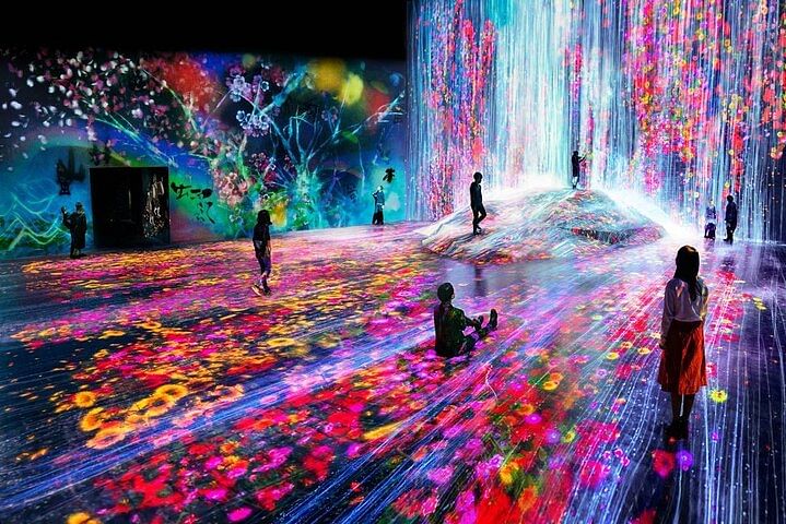 TeamLab Planets TOKYO DMM - Admission Ticket