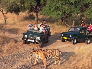 Delhi, Agar & Rajasthan Tour for 12-Days