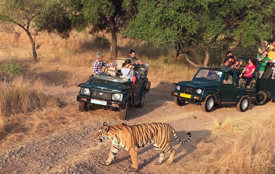 7-Days Golden Triangle with Ranthambore Tour