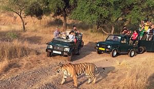 7-Days Golden Triangle with Ranthambore Tour